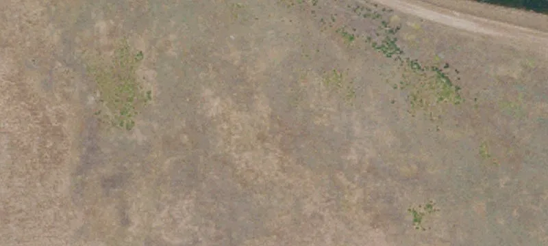 Dixon, CA 95620
