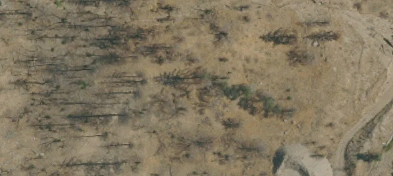 Doyle, CA 96109