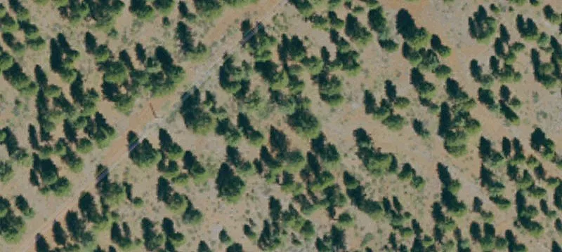 Susanville, CA 96130