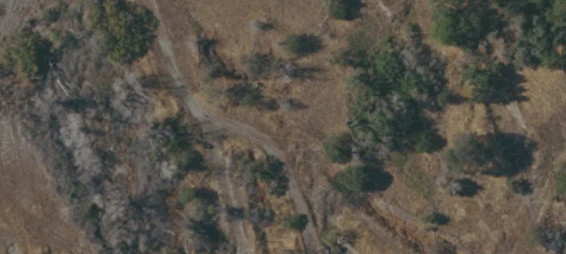 Orland, CA 95963