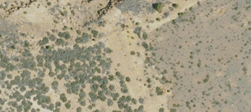 Bieber, CA 96009