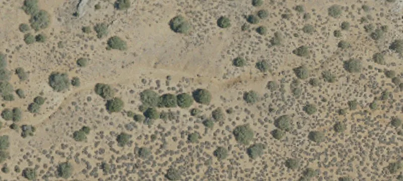 Cantil, CA 93519
