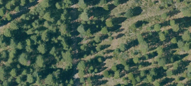 Mccloud, CA 96057