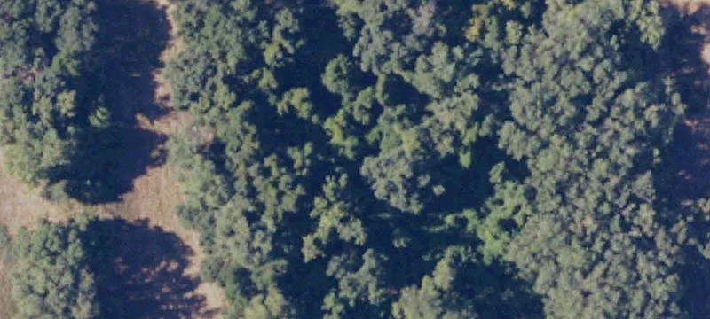 Plumas Lake, CA 95961