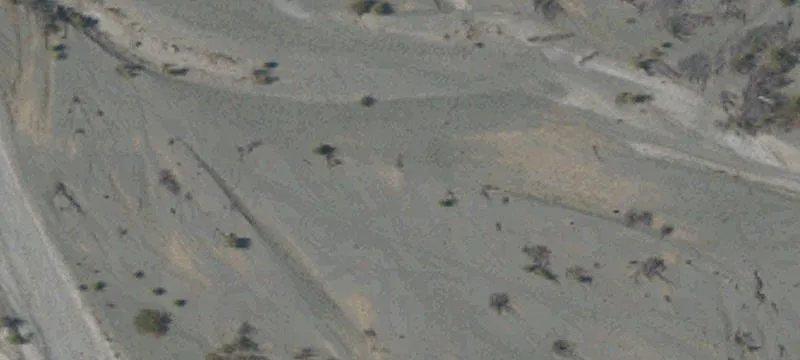Orland, CA 95963