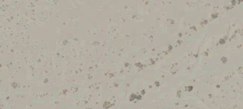 Salton City, CA 92275