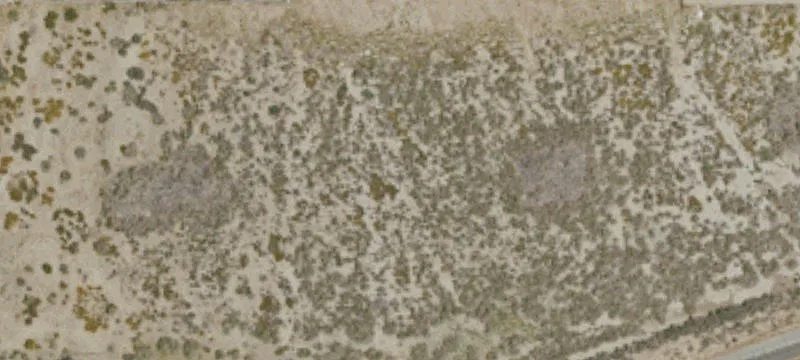 Lebec, CA 93243