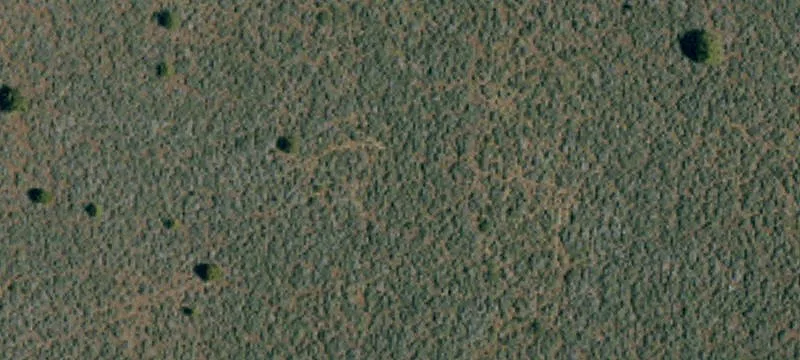 Mcarthur, CA 96056