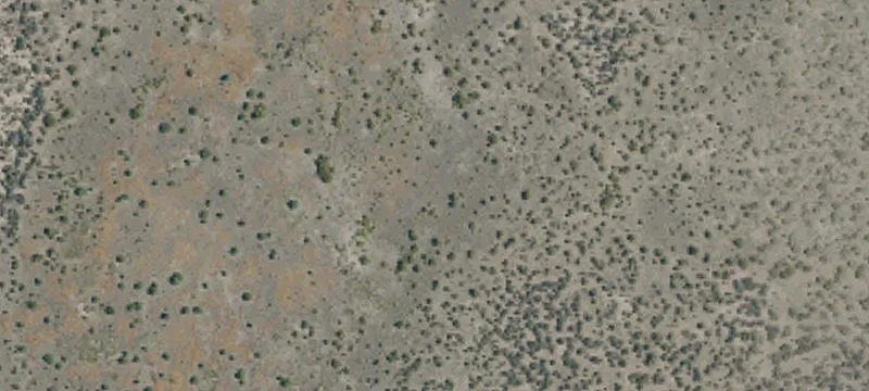 Ravendale, CA 96123