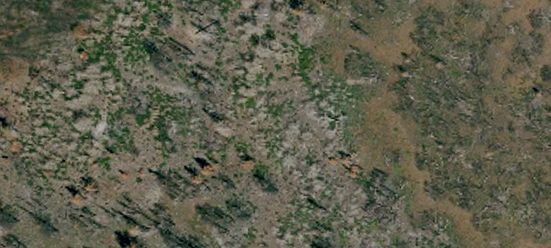 Mcarthur, CA 96056