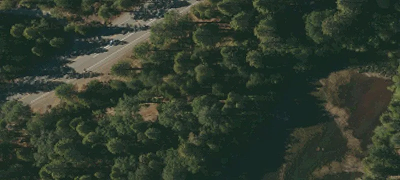 Shingletown, CA 96088