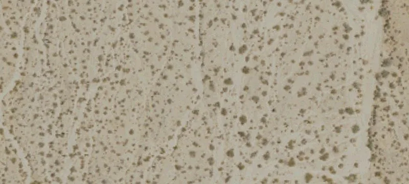 Desert Center, CA 92239