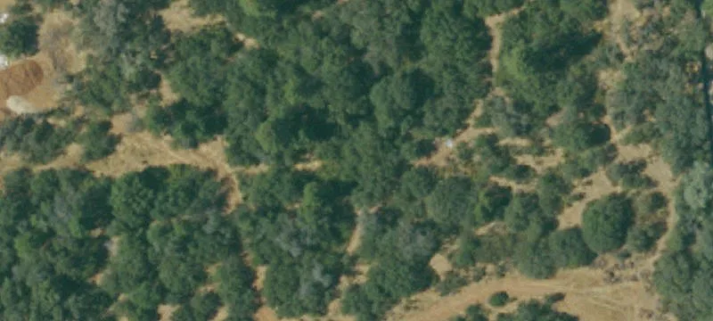 Shingle Springs, CA 95682