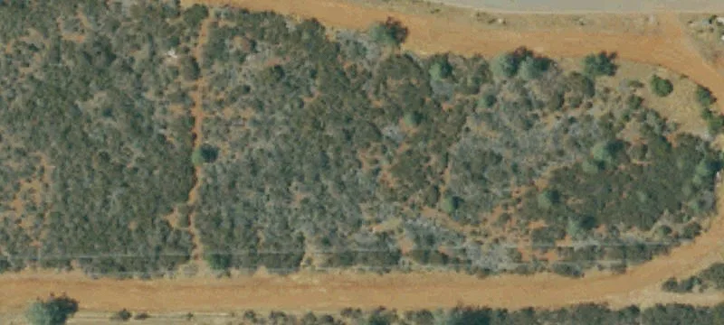 Shingle Springs, CA 95682
