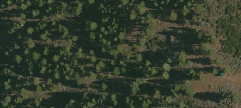 Alturas, CA 96101