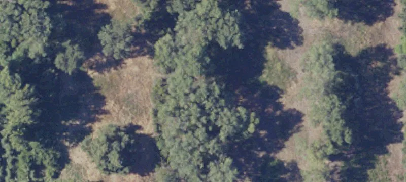 Plumas Lake, CA 95961