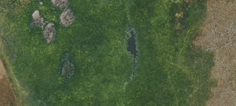 Litchfield, CA 96117