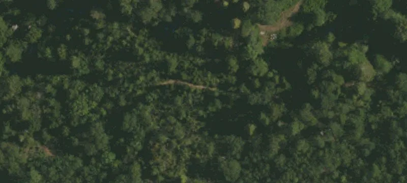 Montgomery Creek, CA 96065