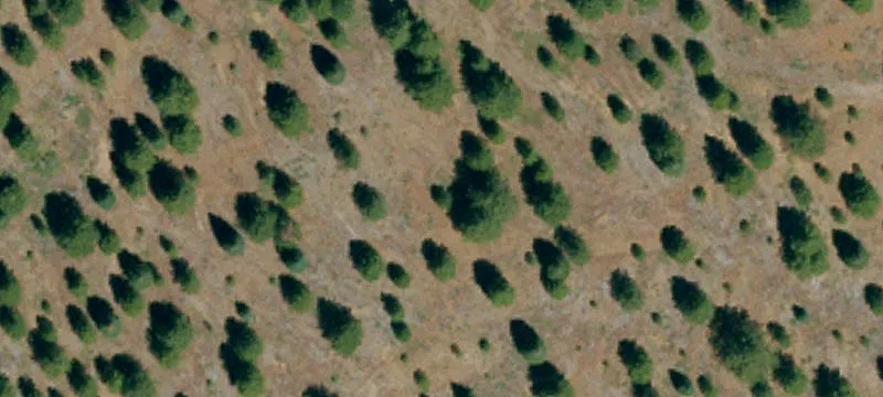 Westwood, CA 96137