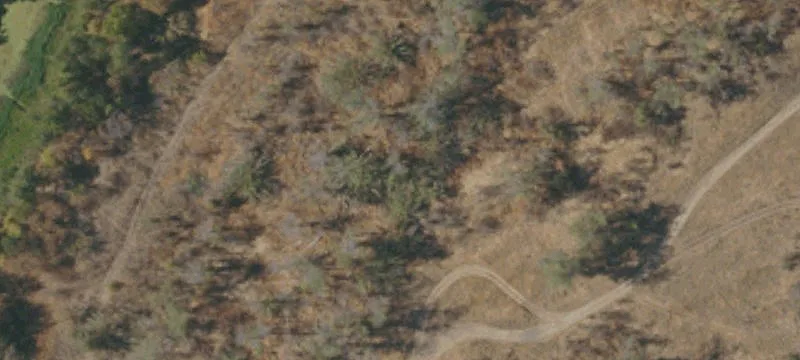 Willows, CA 95988