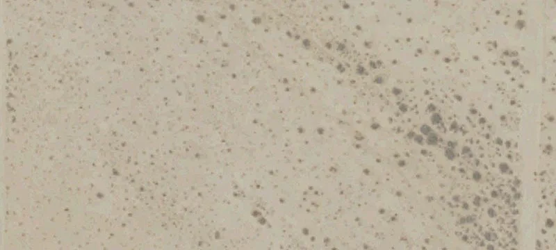 Mojave, CA 93501
