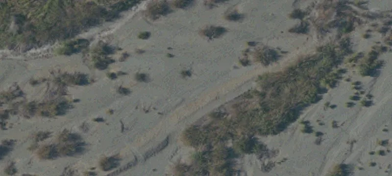 Orland, CA 95963
