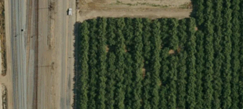 Wasco, CA 93280