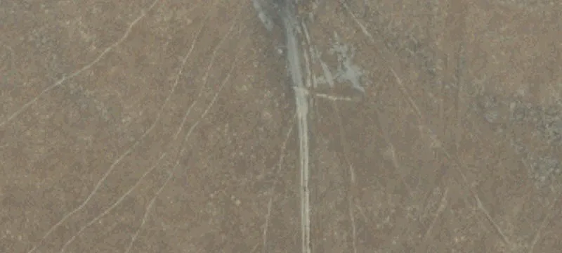 Coalinga, CA 93210