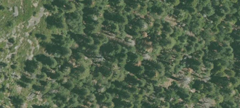 Twain Harte, CA 95383