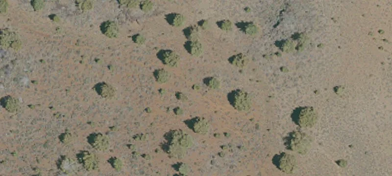 Susanville, CA 96130