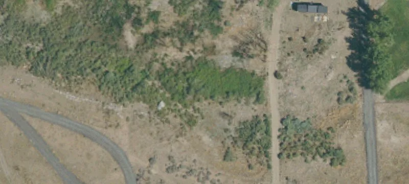 Walker, CA 96107