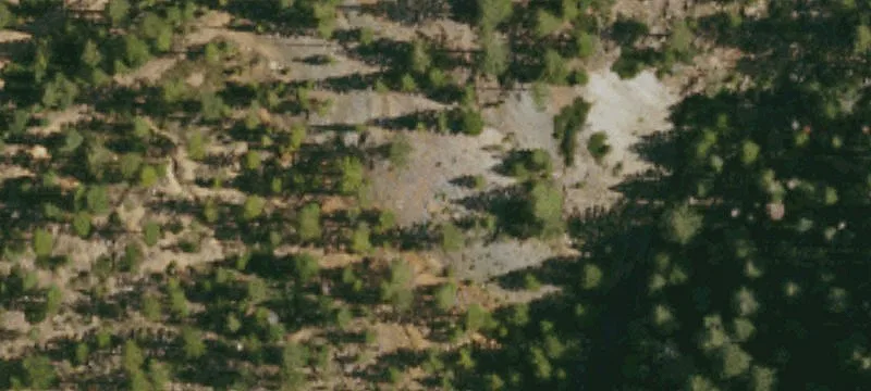 Johnsville Rd, CA