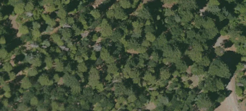 Shingletown, CA 96088