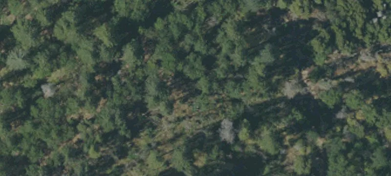 French Gulch, CA 96033