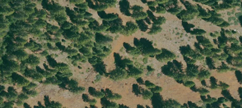 Westwood, CA 96137