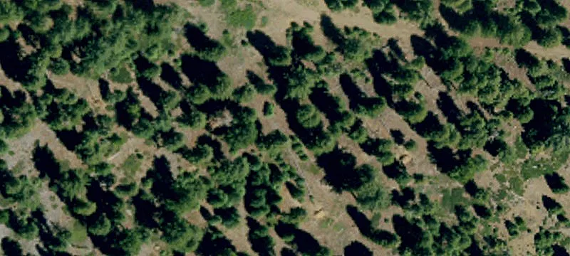 Westwood, CA 96137