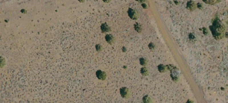 Susanville, CA 96130