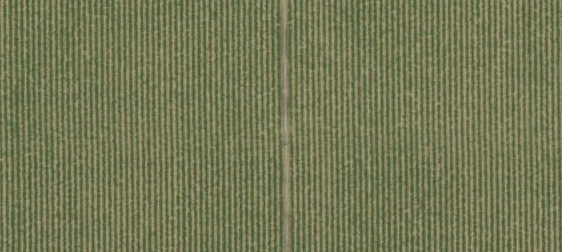 Huron, CA 93234