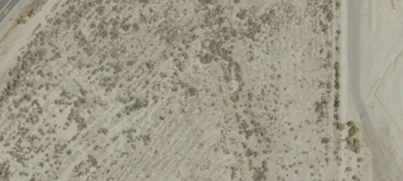 Maricopa, CA 93252