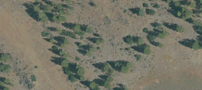 Mcarthur, CA 96056