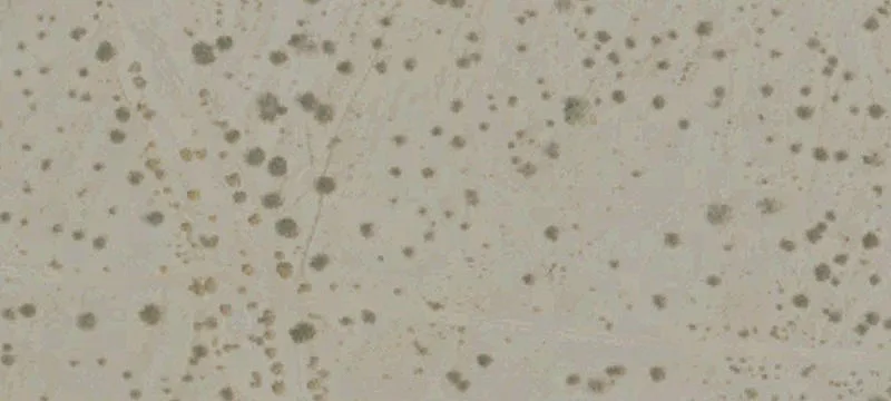 Desert Center, CA 92239