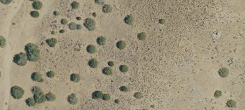 Cantil, CA 93519