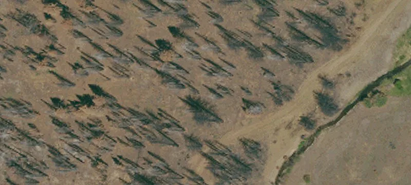 Westwood, CA 96137