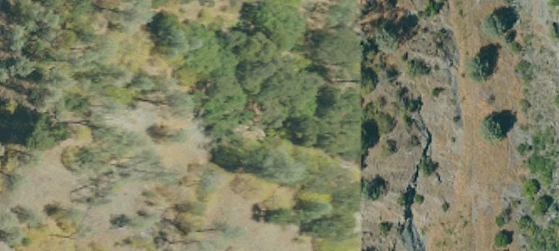 Covelo, CA 95428