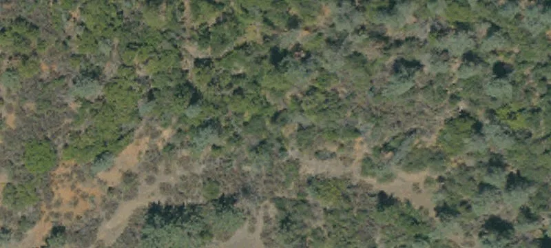 Redding, CA 96003