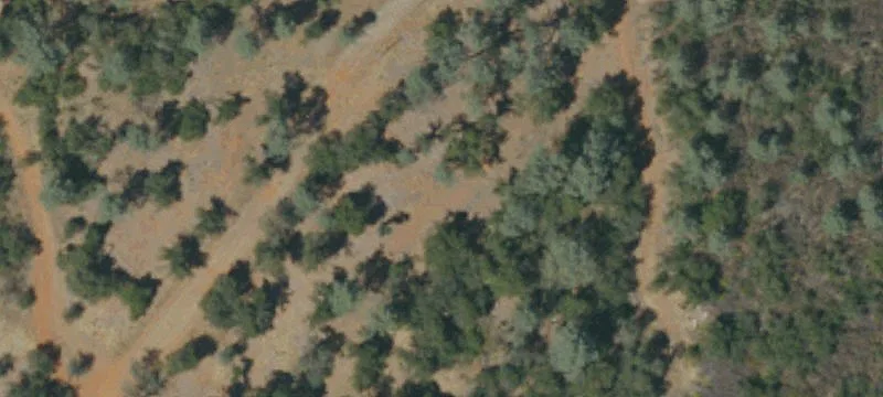 Shasta Lake, CA 96019