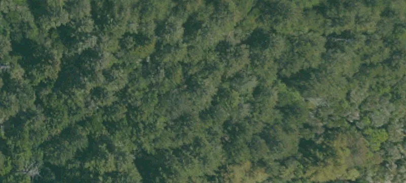 Loma Mar, CA 94021