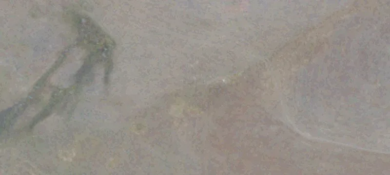 American Canyon, CA 94503