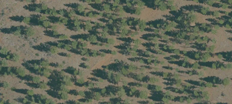 Mcarthur, CA 96056