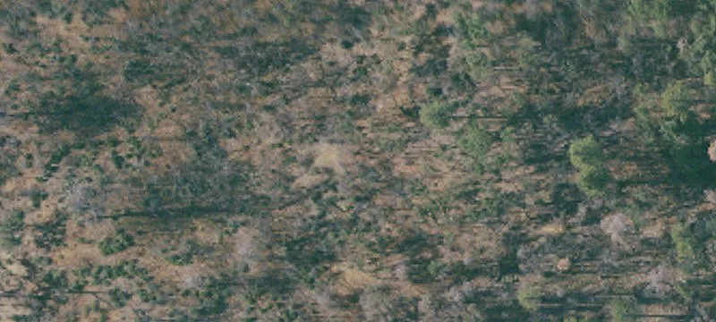 Elk Creek, CA 95939
